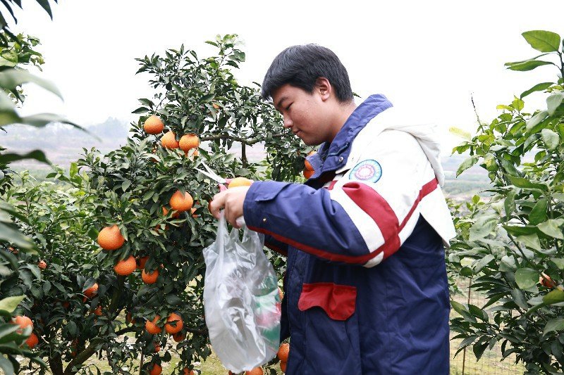 1773660903827888.jpg 多元参与公共区域微更新志愿服务活动