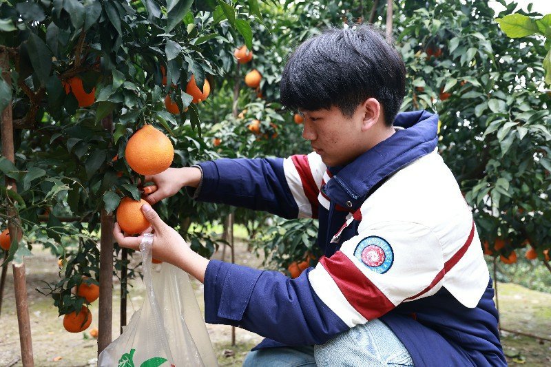 1773660944561564.jpg 同题参见师生们以栽花植绿