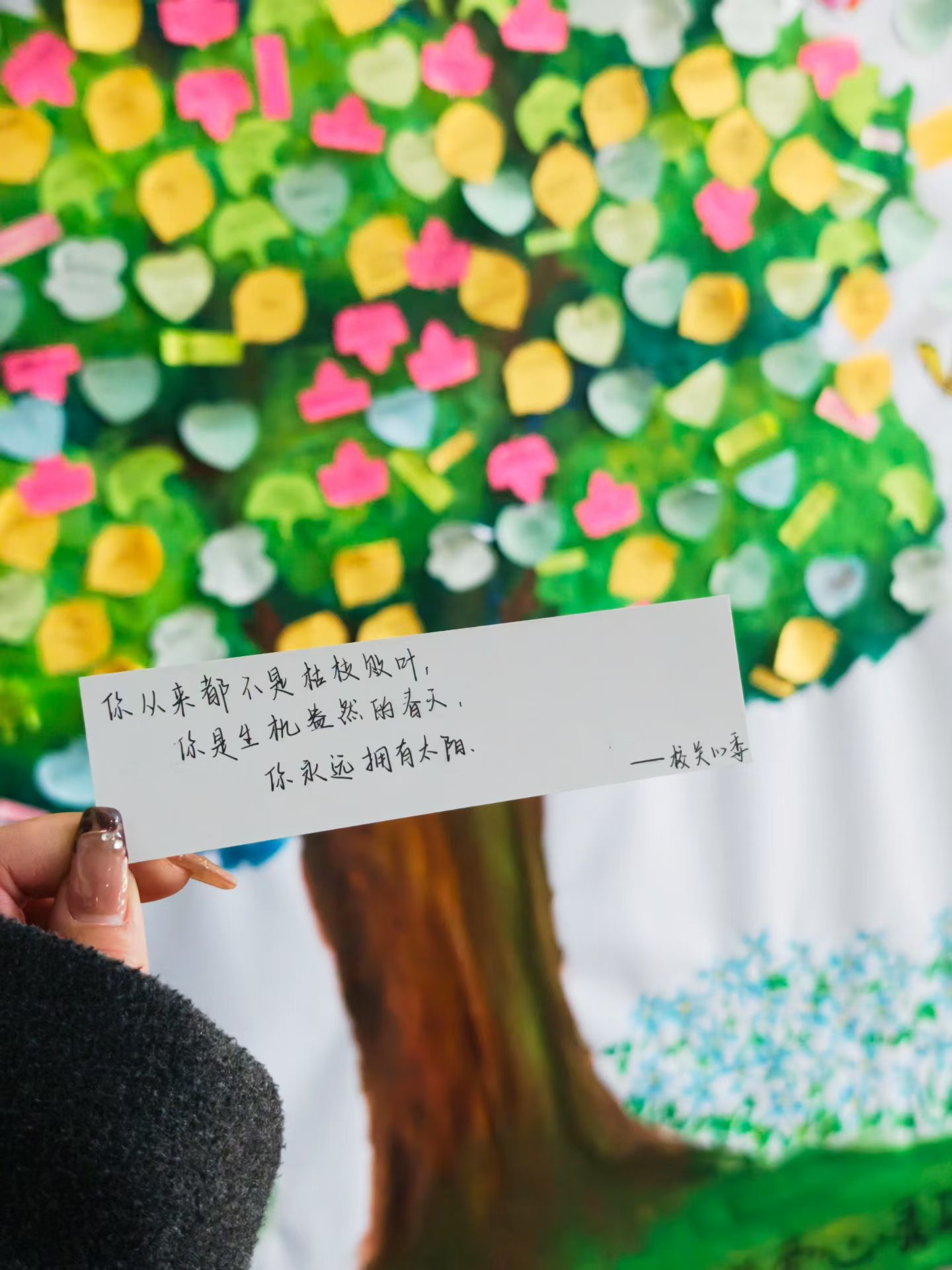 在第48个植树节来临之际
